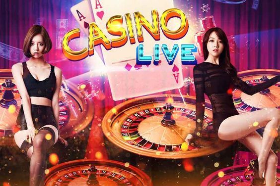 Big Brother Betting Live Casino